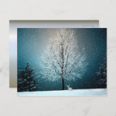 冬のワンダーランドうさぎ ポストカード (正面/裏面)