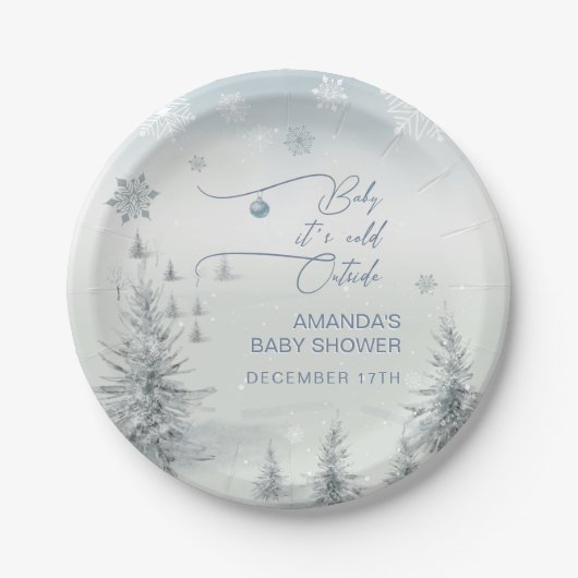冬のワンダーランドその冷たい外の男の子の赤ちゃんシャワー ペーパープレート (正面)