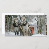 冬のワンダーランドでのそり乗り (正面/裏面)