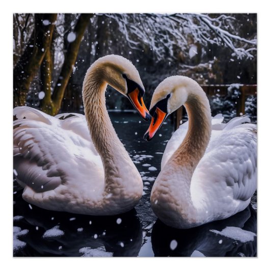 冬のワンダーランドにロマンチックな白鳥 ポスター (正面)
