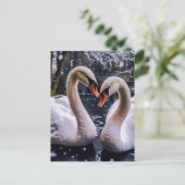 冬のワンダーランドにロマンチックな白鳥 ポストカード (スタンド正面)