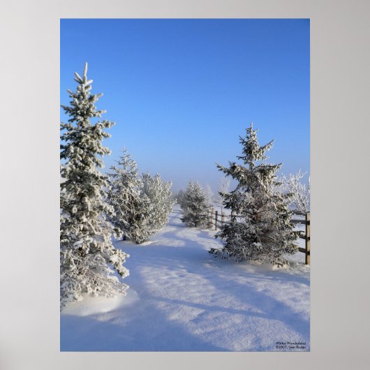 冬のワンダーランドのポスター ポスター (正面)