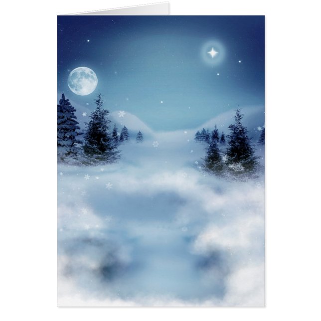 冬のワンダーランドの夜 (正面)