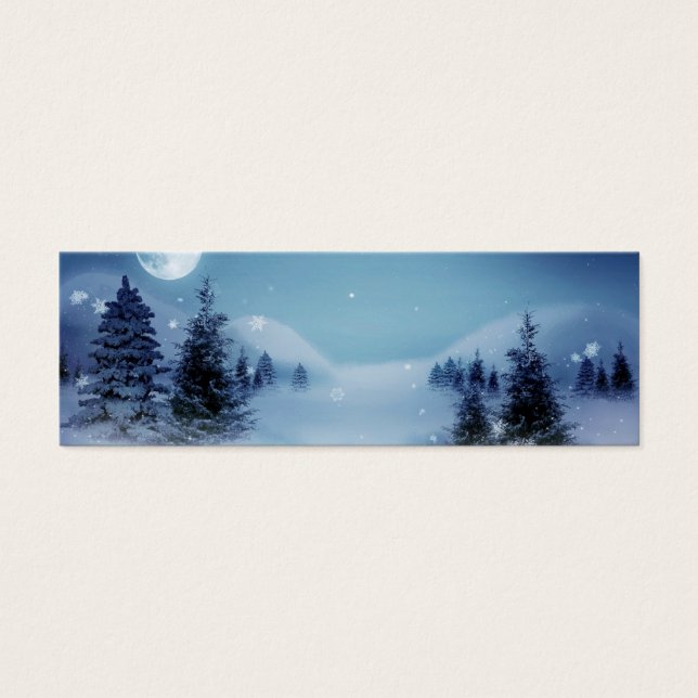 冬のワンダーランドの夜 (正面)