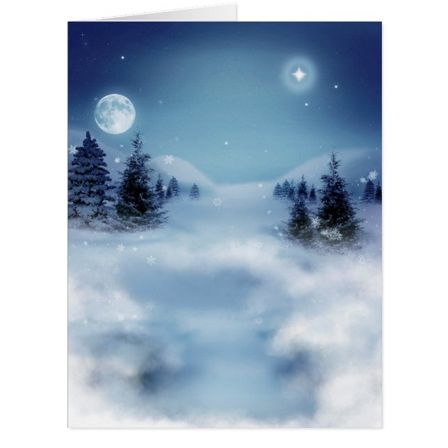 冬のワンダーランドの夜 (正面)