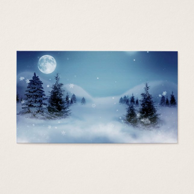 冬のワンダーランドの夜 (正面)