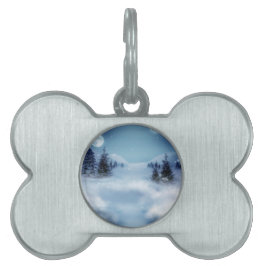 冬のワンダーランドの夜 ペットネームタグ