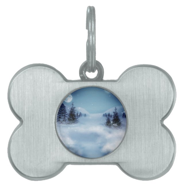冬のワンダーランドの夜 ペットネームタグ (正面)