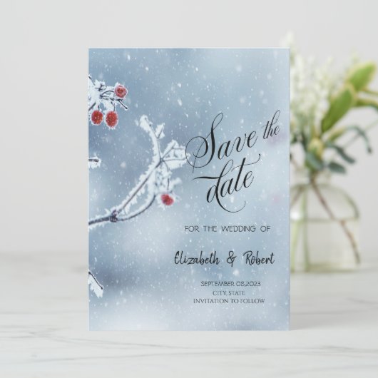 冬のワンダーランドの枝の青い日付を保存 セーブザデート (スタンド正面)