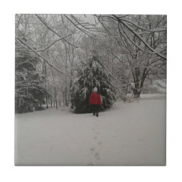 冬のワンダーランドの歩く タイル