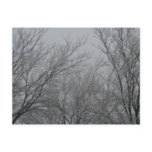 冬のワンダーランドはがき