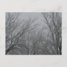 冬のワンダーランドはがき ポストカード