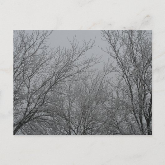 冬のワンダーランドはがき ポストカード (正面)