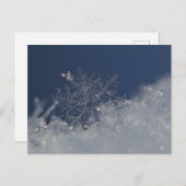 冬のワンダーランドはがき ポストカード (正面/裏面)