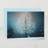 冬のワンダーランドはがき ポストカード (正面/裏面)