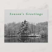 冬のワンダーランドブラック&ホワイト雪写真 シーズンポストカード (正面)