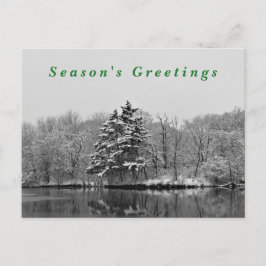冬のワンダーランドブラック&ホワイト雪写真 シーズンポストカード