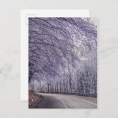 冬のワンダーランド旅行の写真 ポストカード (正面/裏面)