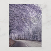 冬のワンダーランド旅行の写真 ポストカード (正面)