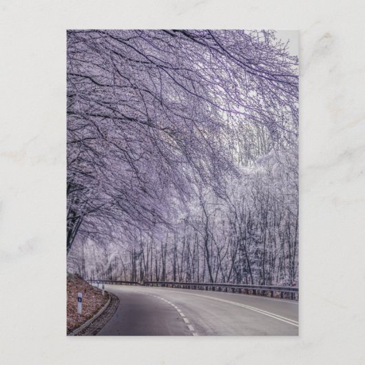 冬のワンダーランド旅行の写真 ポストカード (正面)
