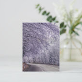 冬のワンダーランド旅行の写真 ポストカード (スタンド正面)