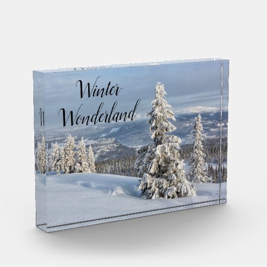 冬のワンダーランド淡い灰色の雪の写真 フォトブロック (左)