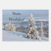 冬のワンダーランド淡い灰色の雪の写真 ラッピングペーパーシート (正面3)