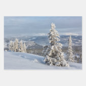 冬のワンダーランド淡い灰色の雪の写真 ラッピングペーパーシート (正面2)