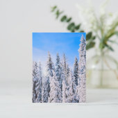 冬のワンダーランド雪の松 ポストカード (スタンド正面)