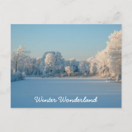 冬のワンダーランド雪景色写真はがき ポストカード