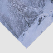 冬のワンダーランド霧氷の森の雪のモノグラム 薄葉紙 (詳細)