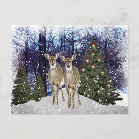 冬のワンダーランド鹿とクリスマスツリー葉書 ポストカード (正面)