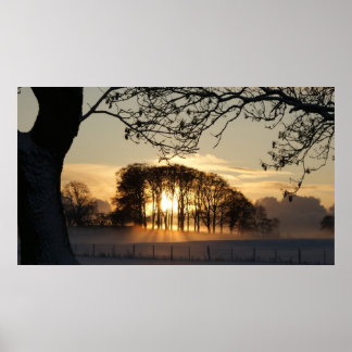 冬のワンダーランド ポスター