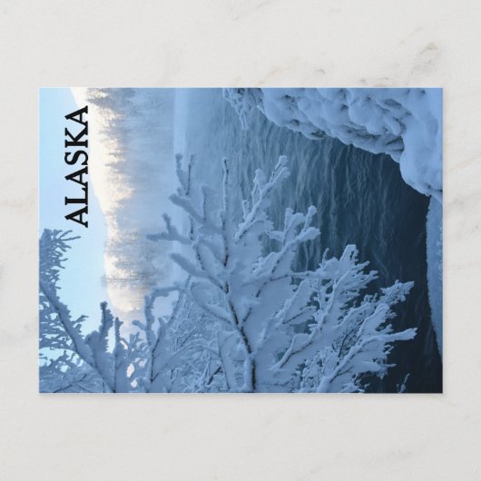 冬のワンダーランド ポストカード (正面)