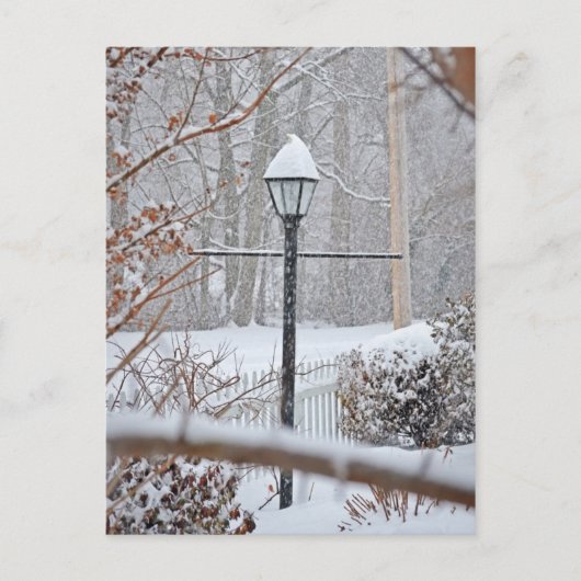 冬のワンダーランド – ランプポスト ポストカード (正面)