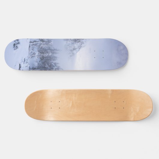 冬のワンダーランド、霧、トウヒの森と山 スケートボード (横)