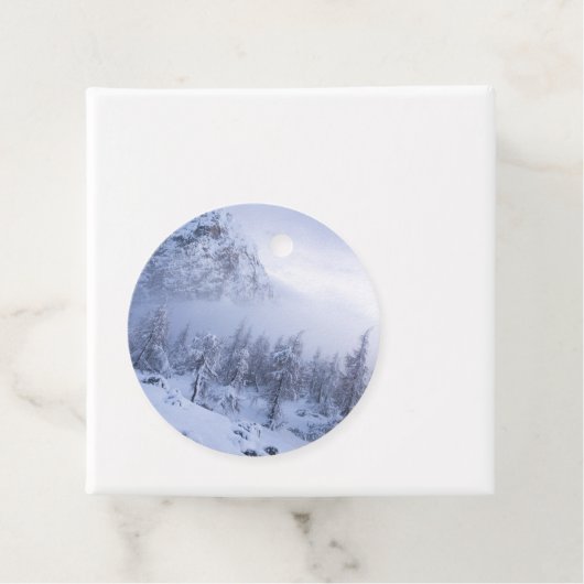 冬のワンダーランド、霧、トウヒの森と山 フェイバータグ (インサイチュ)