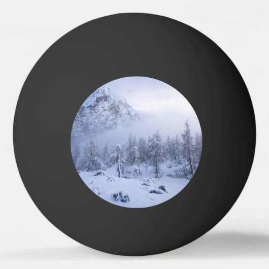 冬のワンダーランド、霧、トウヒの森と山 卓球ボール (正面)