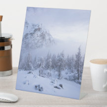 冬のワンダーランド、霧、トウヒの森と山