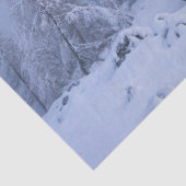 冬のワンダーランド、霧、トウヒの森と山 薄葉紙 (詳細)