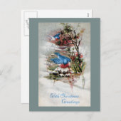冬のヴィンテージのクリスマスのブルーバード シーズンポストカード (正面/裏面)