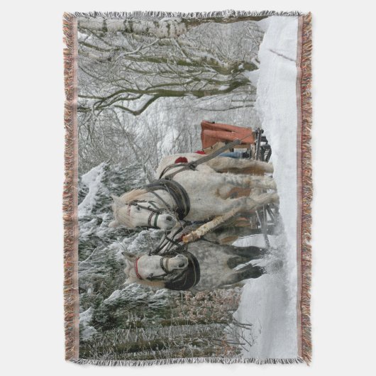 冬の不思議の国のそりの乗車 スローブランケット (正面縦)