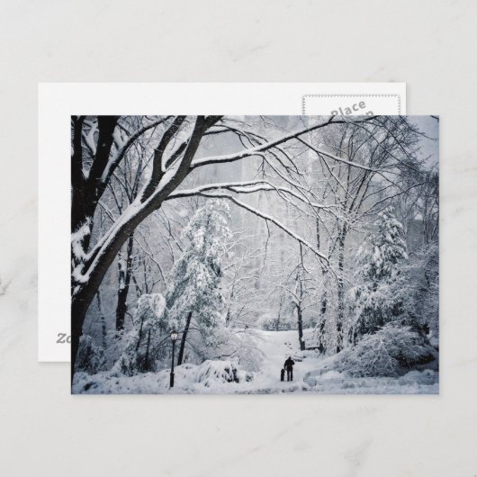 冬の不思議の国の犬の歩く ポストカード (正面/裏面)