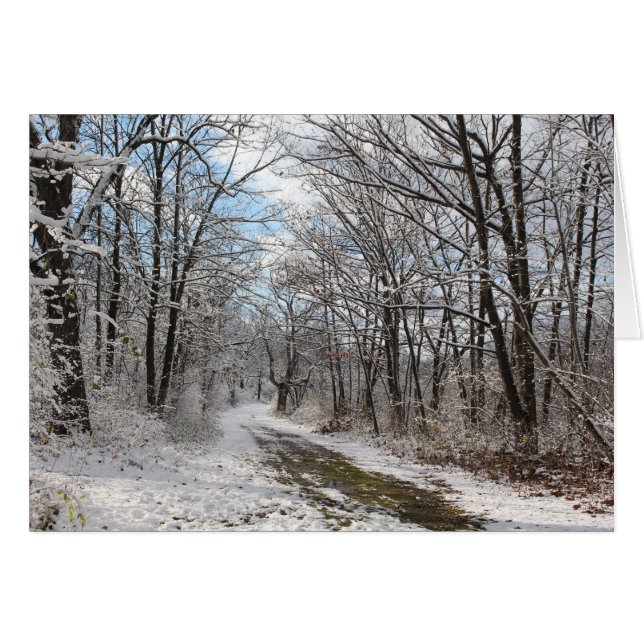 冬の不思議の国カード (正面横)