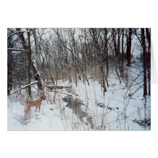 冬の不思議の国