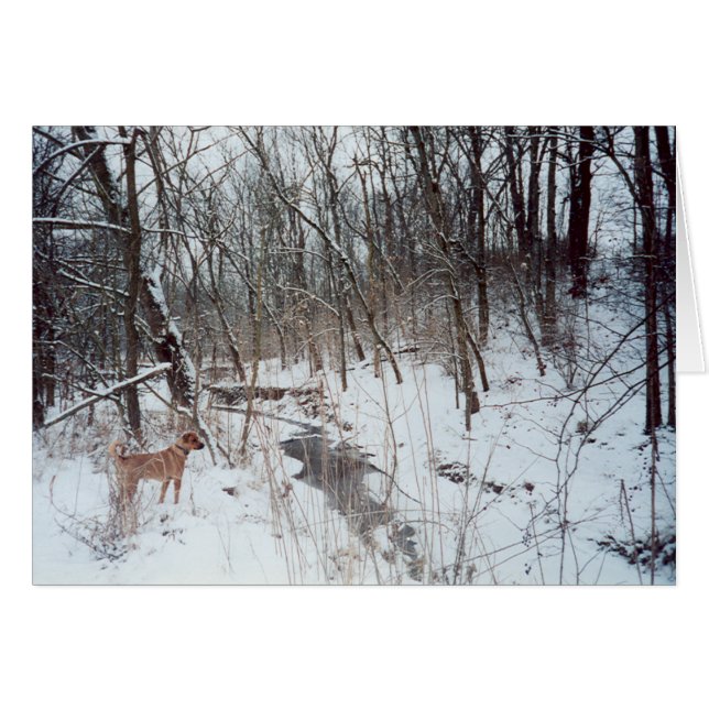 冬の不思議の国 (正面横)