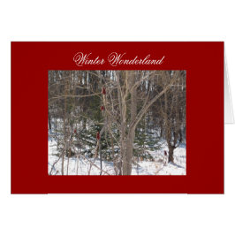 冬の不思議の国