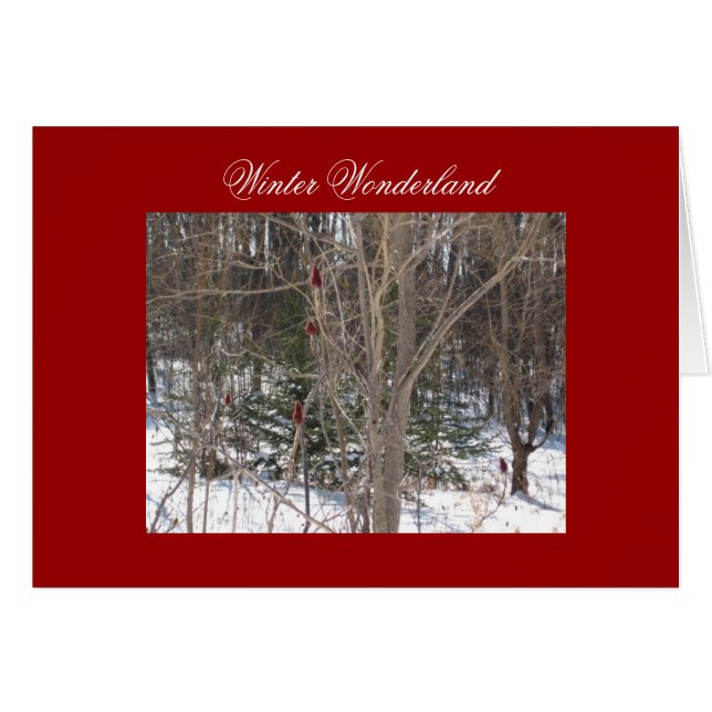 冬の不思議の国 (正面横)