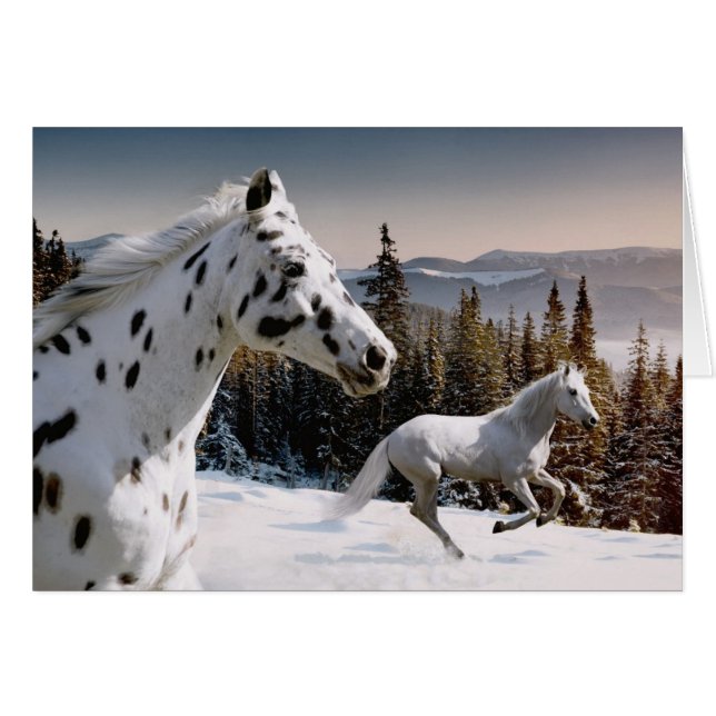 冬の不思議の国 (正面横)