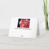 冬の不思議の国 シーズンカード (裏面)